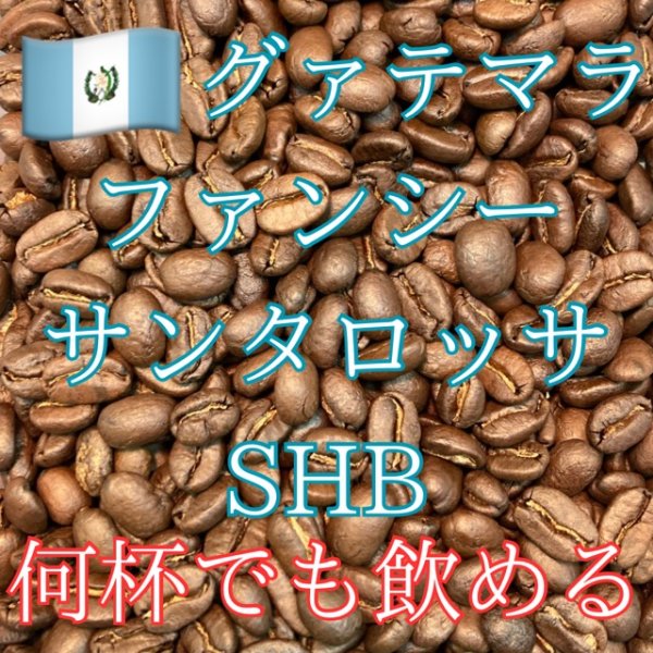 画像1: 〈焙煎豆300g〉グァテマラ・ファンシーサンタロッサSHB (1)