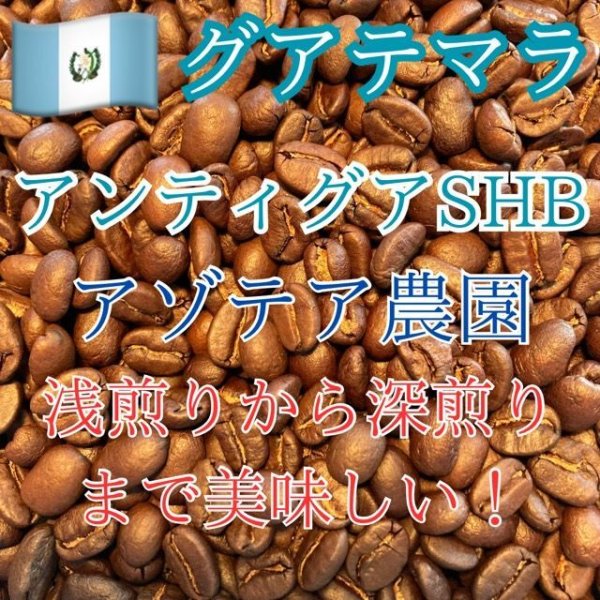 画像1: 〈焙煎豆1000g〉グァテマラ・アンティグア SHB ・アゾテア農園 (1)