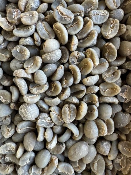 画像2: 【生豆400g】マンデリン・ビンタンリマ (2)