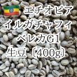 画像1: 〈生豆400g〉エチオピア・イリカチャフィベレカG1・ウォッシュド (1)