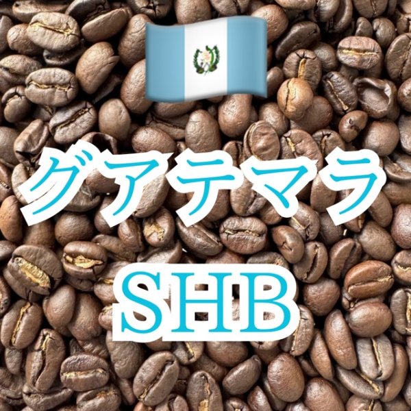 画像1: 〈焙煎豆900g〉グアテマラ SHB  (1)