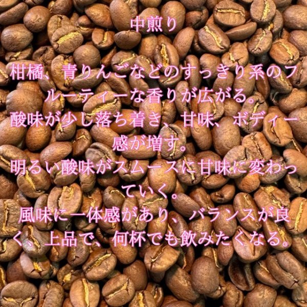 画像2: 〈焙煎豆100g〉グァテマラ・アンティグア SHB ・アゾテア農園 (2)