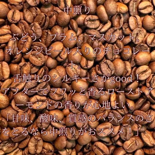 画像2: 〈焙煎豆600g〉ブラジル・サンコーヒーアララ・アナエロビック (2)