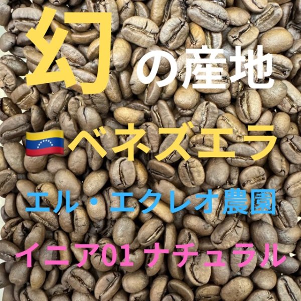 画像1: 〈焙煎豆200g〉エル・レクレオ農園　イニア０１ナチュラル (1)