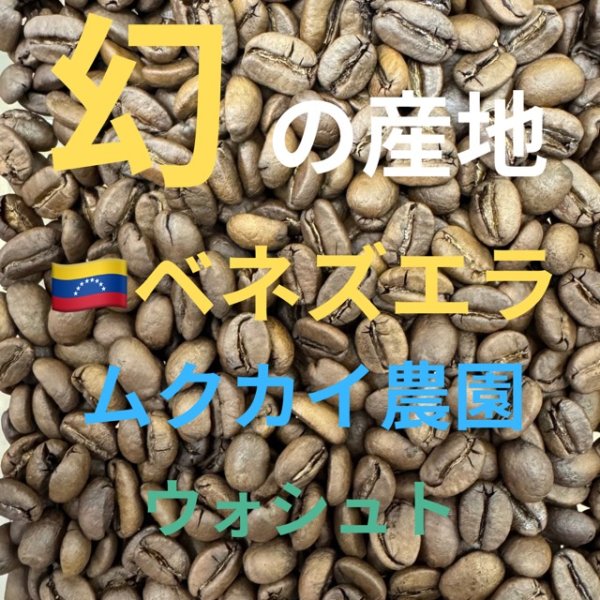 画像1: 〈焙煎豆400g〉ムクカイ農園　ウォシュド (1)