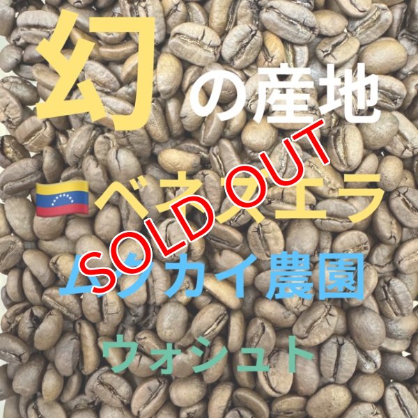 画像1: 〈焙煎豆400g〉ムクカイ農園　ウォシュド (1)