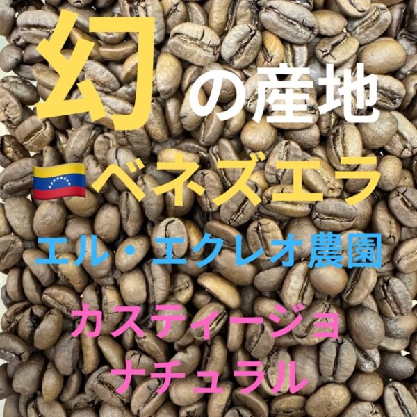 画像1: 〈焙煎豆200g〉エル・レクレオ農園　カスティージョ ナチュラル (1)