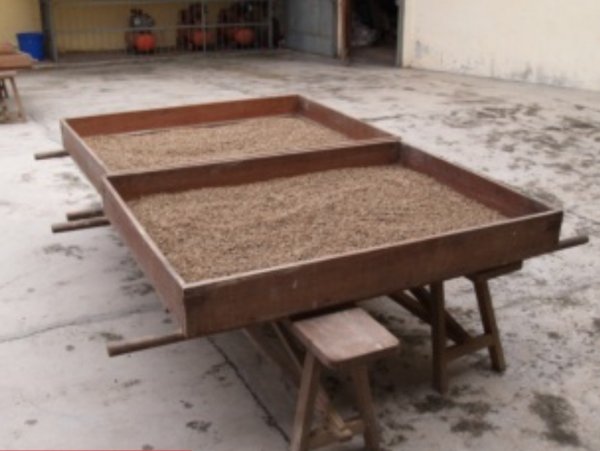 画像7: 〈焙煎豆500g〉マンデリンビンタンリマ (7)